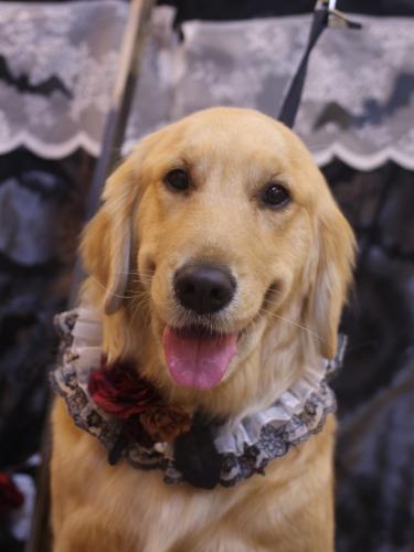 20231020アネラちゃん